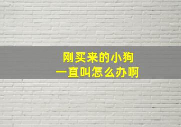 刚买来的小狗一直叫怎么办啊