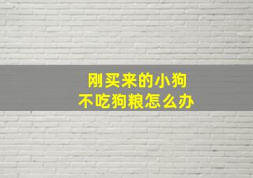 刚买来的小狗不吃狗粮怎么办