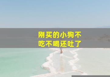 刚买的小狗不吃不喝还吐了