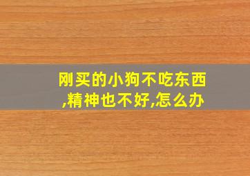 刚买的小狗不吃东西,精神也不好,怎么办