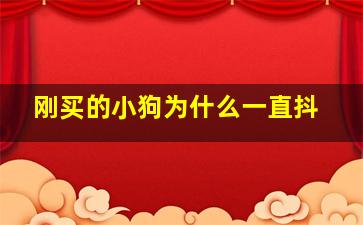 刚买的小狗为什么一直抖