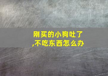 刚买的小狗吐了,不吃东西怎么办