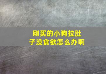 刚买的小狗拉肚子没食欲怎么办啊