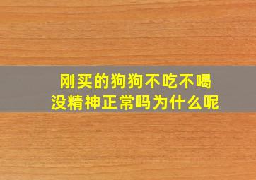 刚买的狗狗不吃不喝没精神正常吗为什么呢