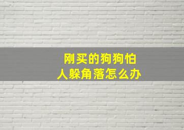 刚买的狗狗怕人躲角落怎么办