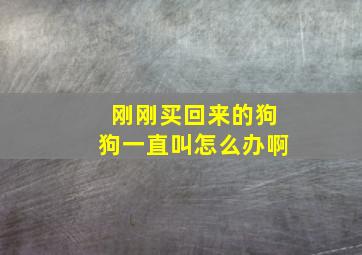 刚刚买回来的狗狗一直叫怎么办啊