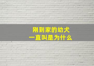 刚到家的幼犬一直叫是为什么