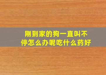 刚到家的狗一直叫不停怎么办呢吃什么药好