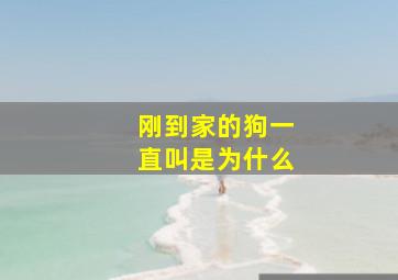 刚到家的狗一直叫是为什么