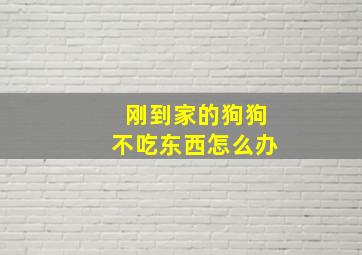 刚到家的狗狗不吃东西怎么办