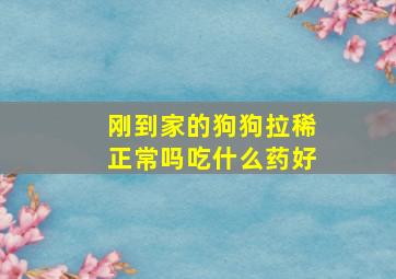 刚到家的狗狗拉稀正常吗吃什么药好