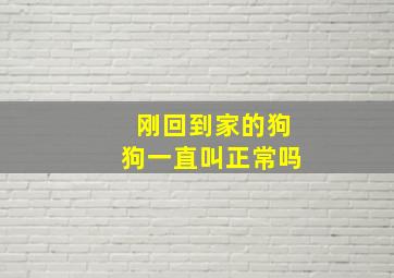 刚回到家的狗狗一直叫正常吗