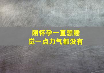 刚怀孕一直想睡觉一点力气都没有