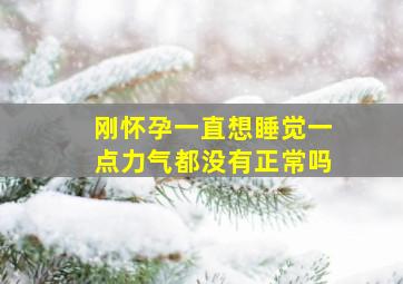 刚怀孕一直想睡觉一点力气都没有正常吗