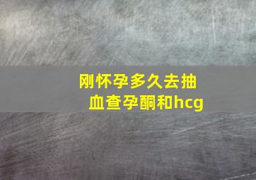 刚怀孕多久去抽血查孕酮和hcg