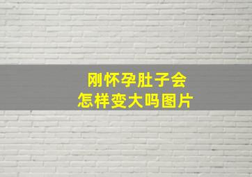 刚怀孕肚子会怎样变大吗图片