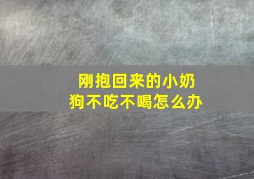 刚抱回来的小奶狗不吃不喝怎么办