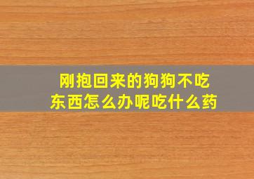 刚抱回来的狗狗不吃东西怎么办呢吃什么药