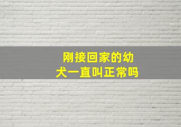 刚接回家的幼犬一直叫正常吗