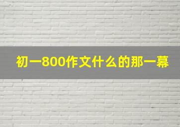 初一800作文什么的那一幕