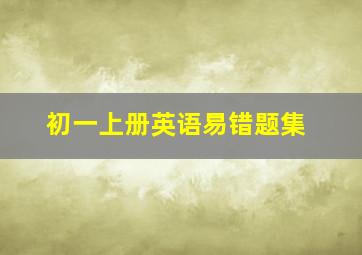 初一上册英语易错题集