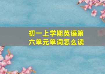 初一上学期英语第六单元单词怎么读