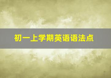 初一上学期英语语法点