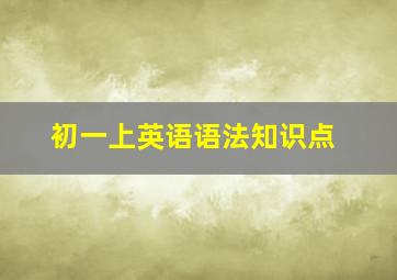 初一上英语语法知识点