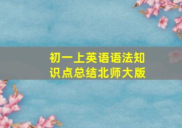 初一上英语语法知识点总结北师大版