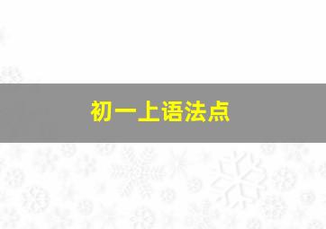 初一上语法点