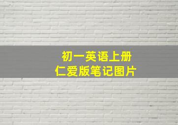 初一英语上册仁爱版笔记图片