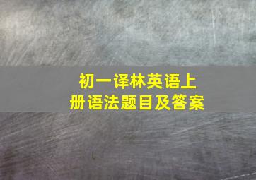 初一译林英语上册语法题目及答案