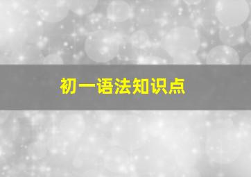 初一语法知识点