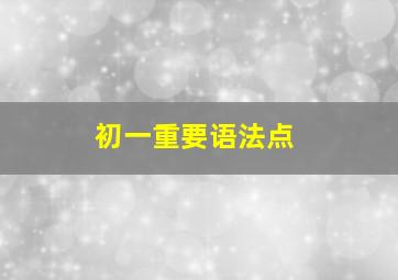 初一重要语法点