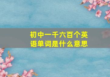 初中一千六百个英语单词是什么意思