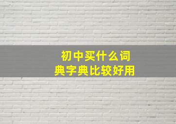 初中买什么词典字典比较好用