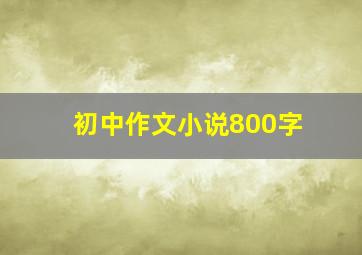 初中作文小说800字