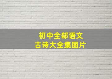 初中全部语文古诗大全集图片