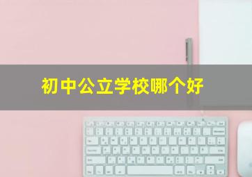 初中公立学校哪个好