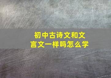 初中古诗文和文言文一样吗怎么学