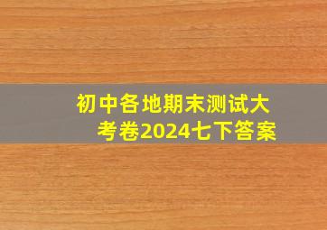 初中各地期末测试大考卷2024七下答案