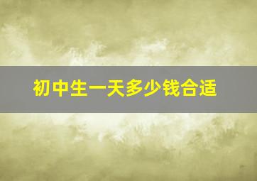 初中生一天多少钱合适