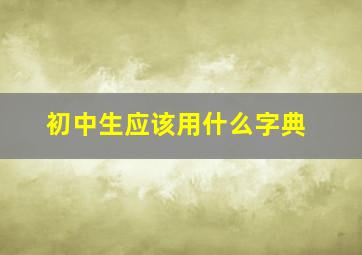 初中生应该用什么字典