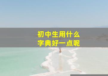 初中生用什么字典好一点呢