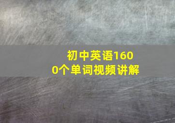 初中英语1600个单词视频讲解