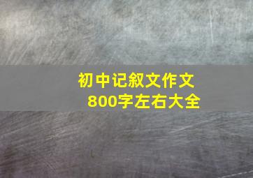 初中记叙文作文800字左右大全