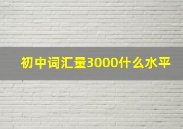 初中词汇量3000什么水平