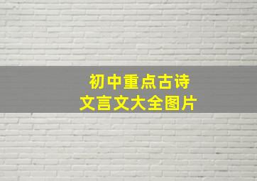 初中重点古诗文言文大全图片