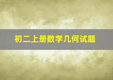 初二上册数学几何试题