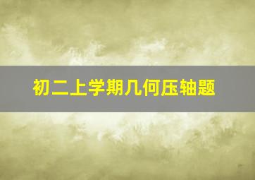 初二上学期几何压轴题